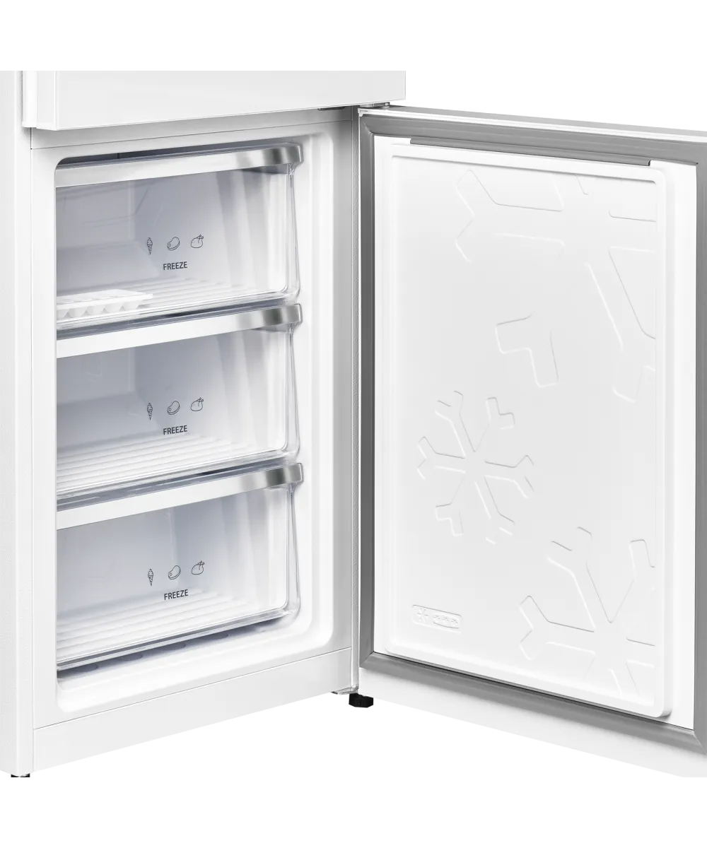 Freestanding refrigerator RFCN 2013 WG