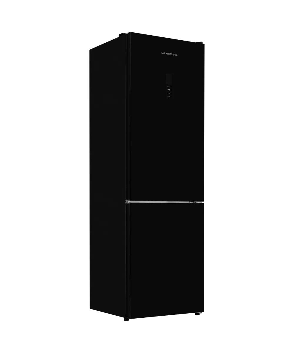 Freestanding refrigerator RFCN 2013 BG