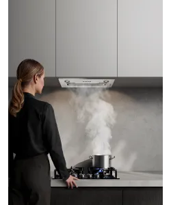 Built-in hood INLINEA 52 WX