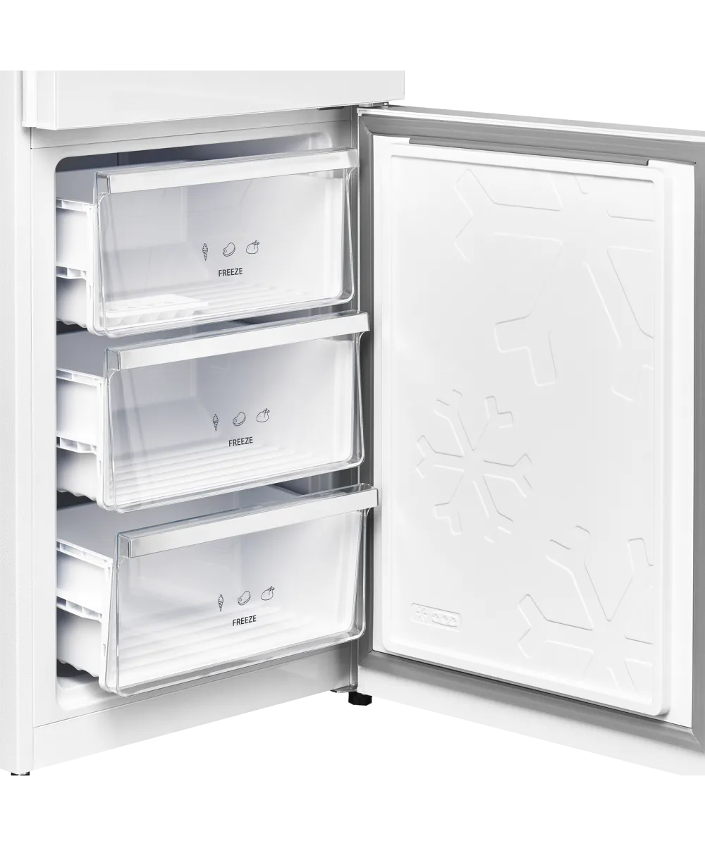 Freestanding refrigerator RFCN 2013 WG