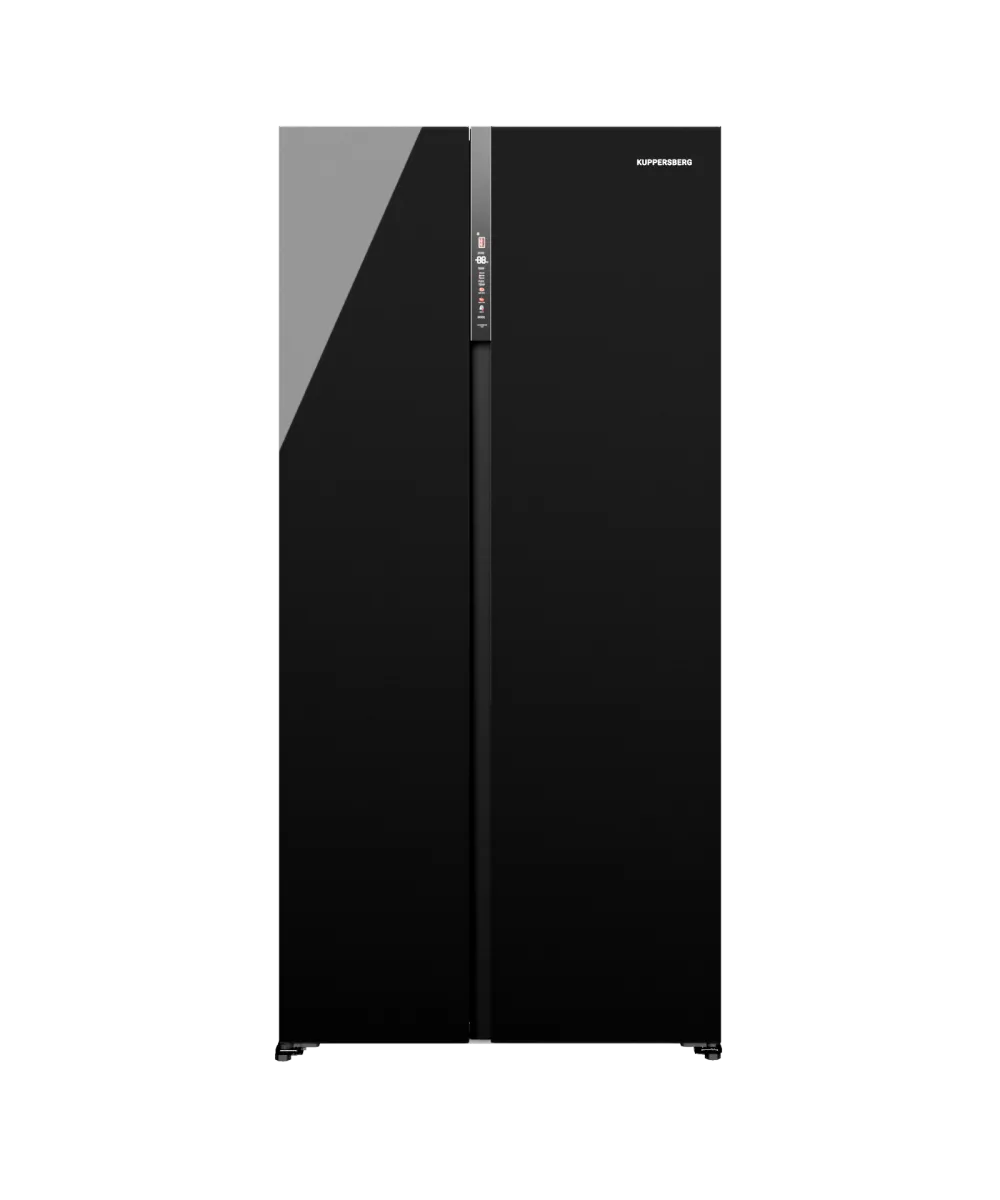 Freestanding refrigerator RFSN 1990 BG