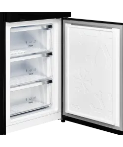 Freestanding refrigerator RFCN 2013 BG