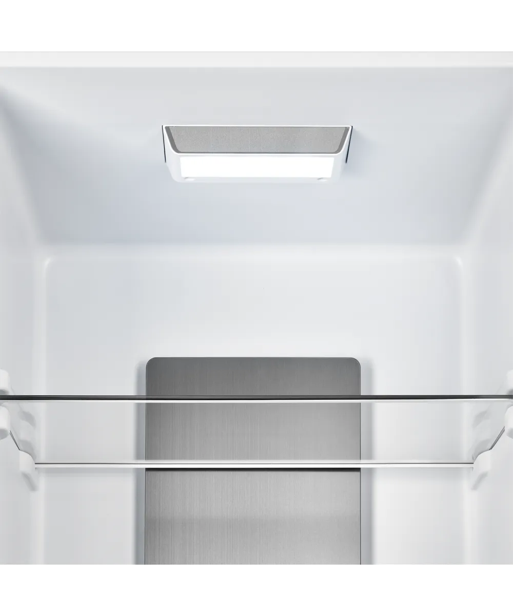 Freestanding refrigerator RFCN 2013 WG