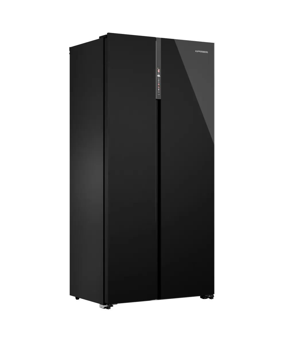 Freestanding refrigerator RFSN 1990 BG